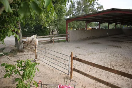 Paradis du Cheval - Photo 16