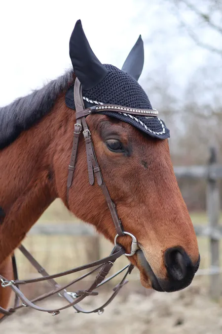 Paradis du Cheval - Photo 19