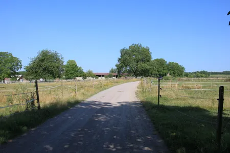 Paradis du Cheval - Photo 10